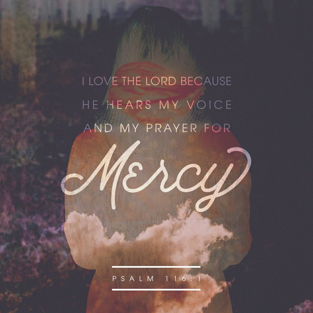 Voice Of Mercy