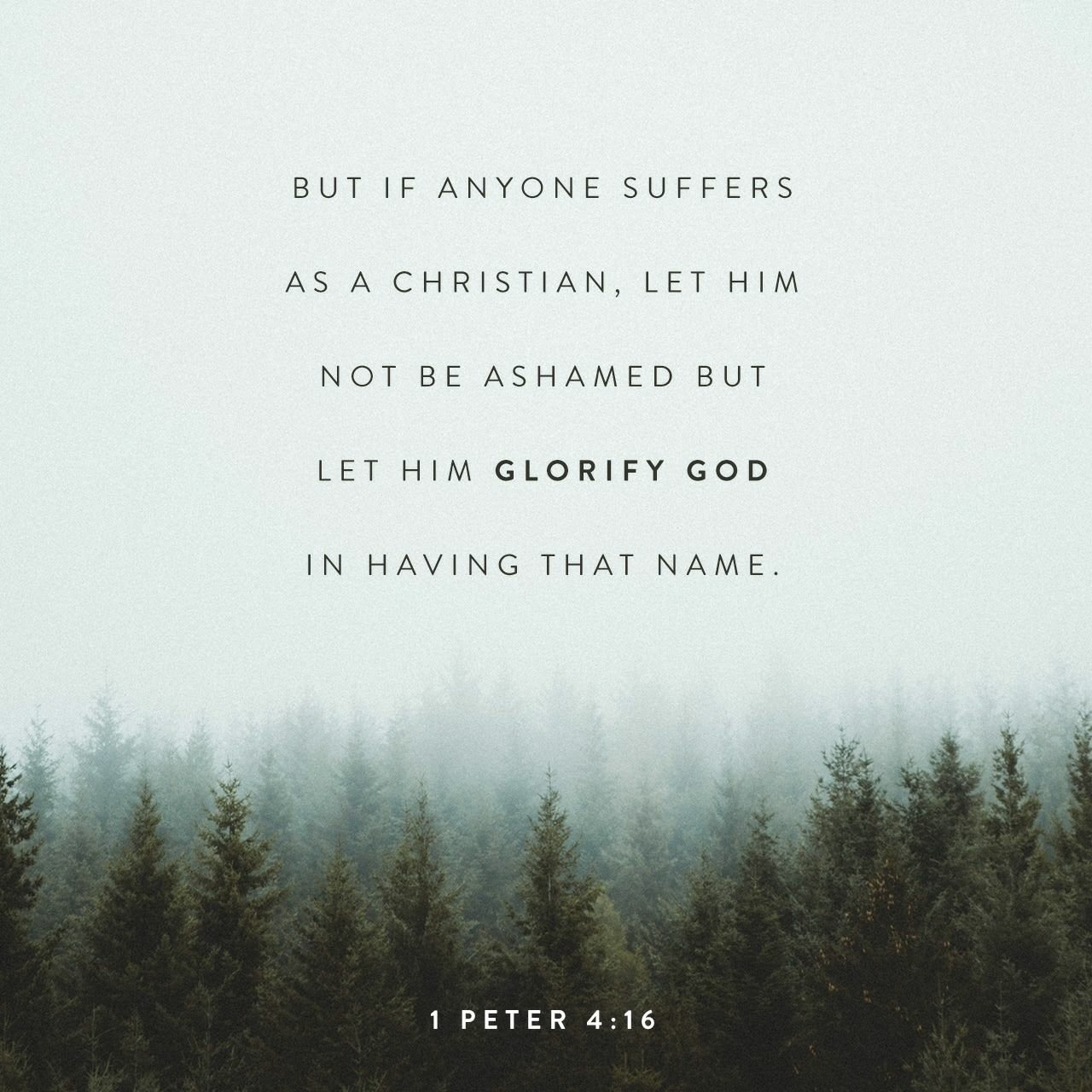Be Not Ashamed 💯🤗