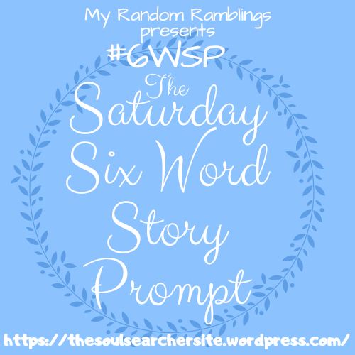 Six Word Story #41