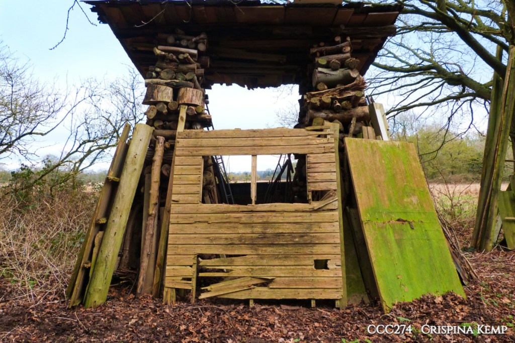 Crimson’s Creative Challenge #274. Treehouse