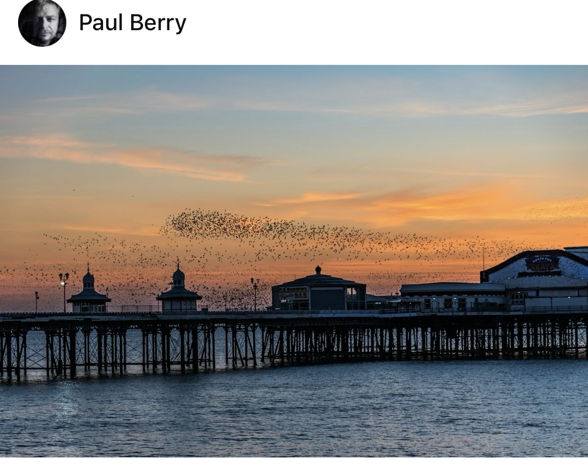 WDYS? Is it a pier? Or is it…