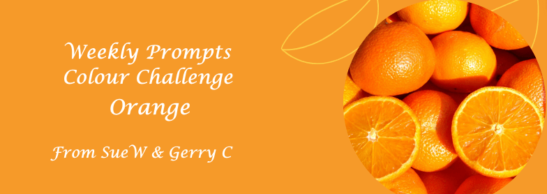 Flash Fiction: The Orange Whisperer