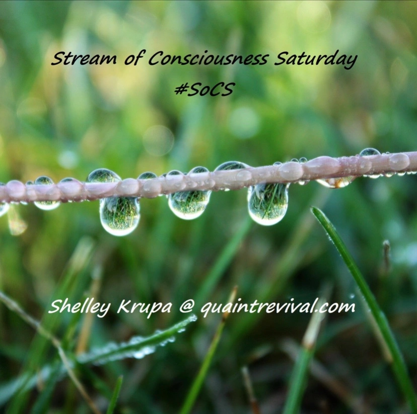 Stream of Consciousness Saturday: Let’s Talk Paper!